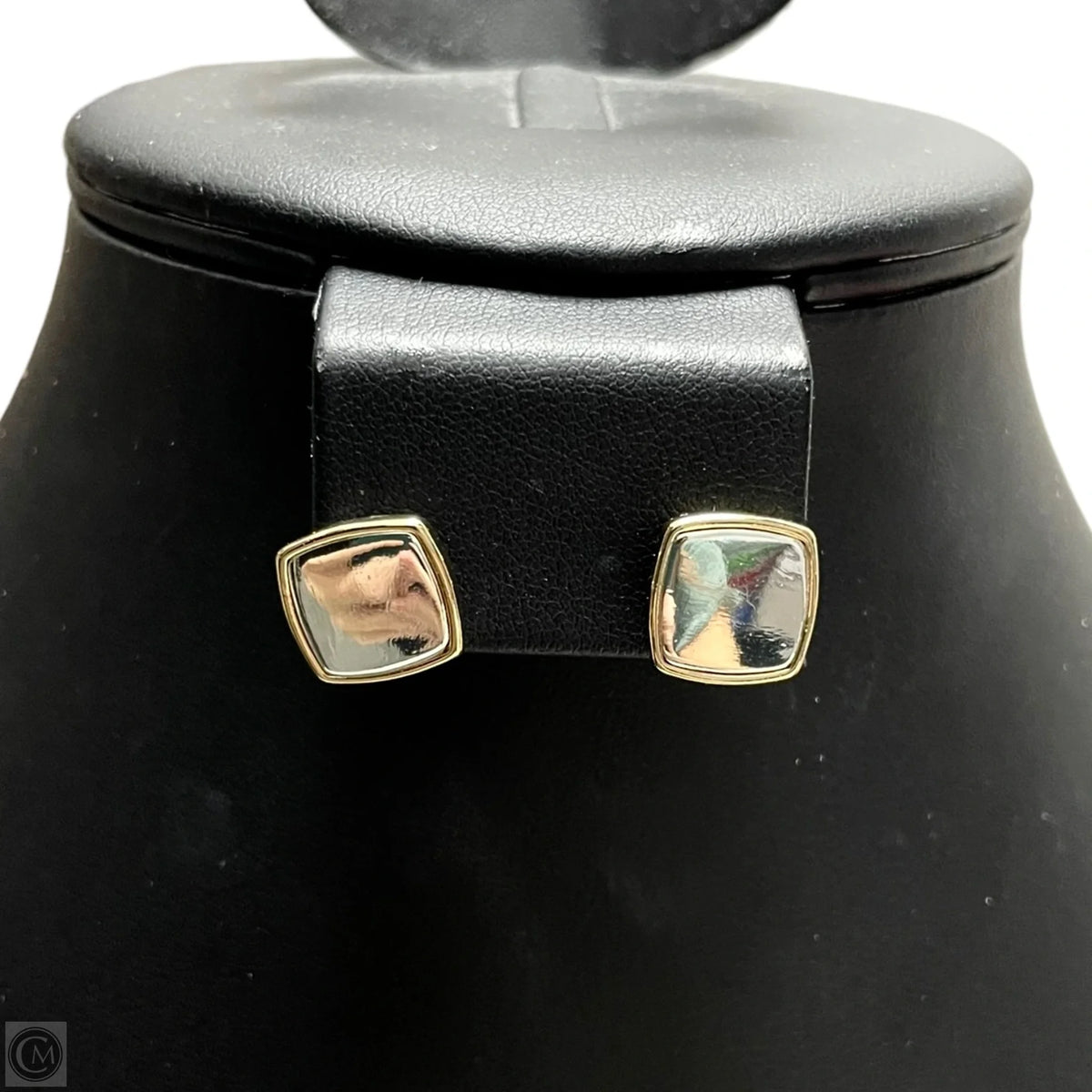 Earrings Stud By Loft