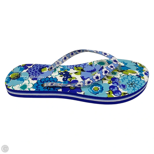 Sandals Flip Flops By Vera Bradley In Floral Print, Size: 6