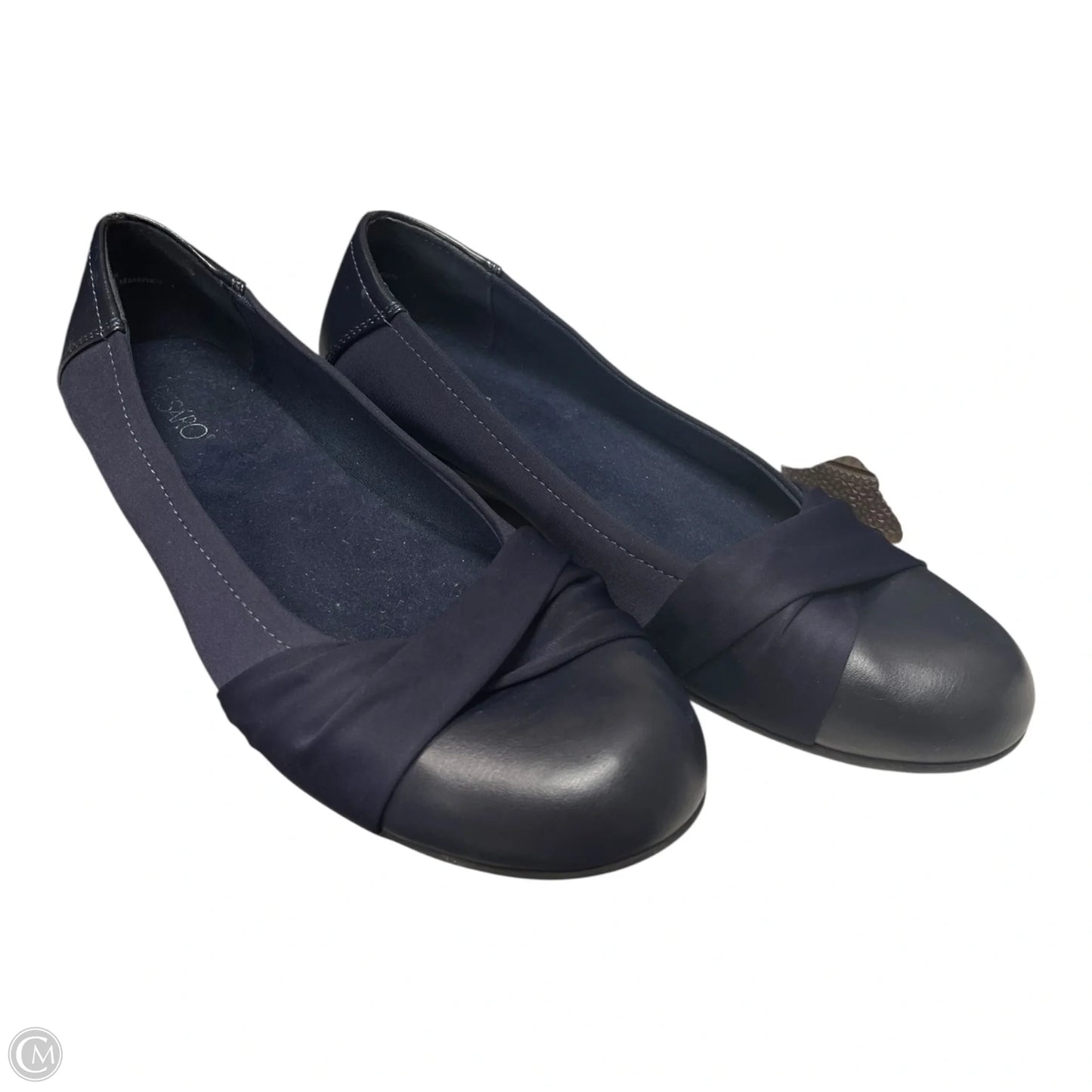 Shoes Flats By Pesaro In Blue, Size: 7