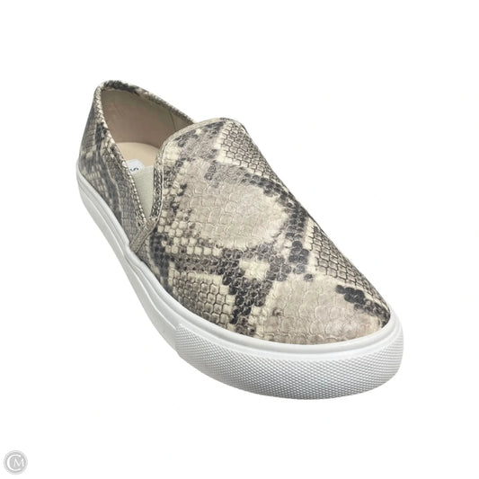 Shoes Sneakers By Steve Madden In Snakeskin Print, Size: 6