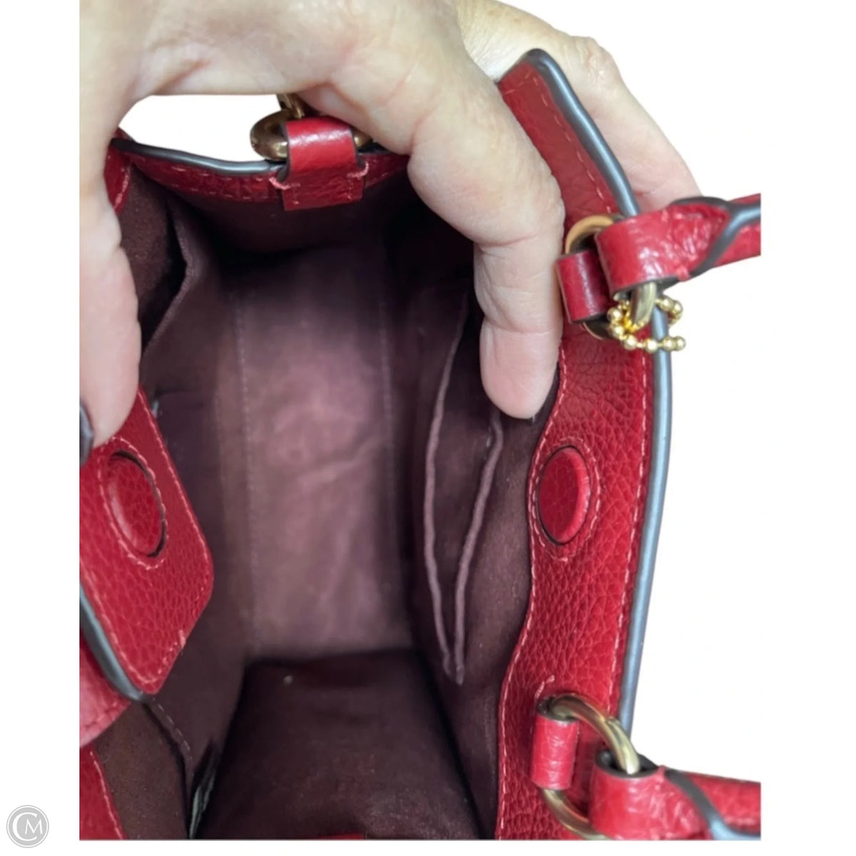 Crossbody Designer By Coach, Size: Small