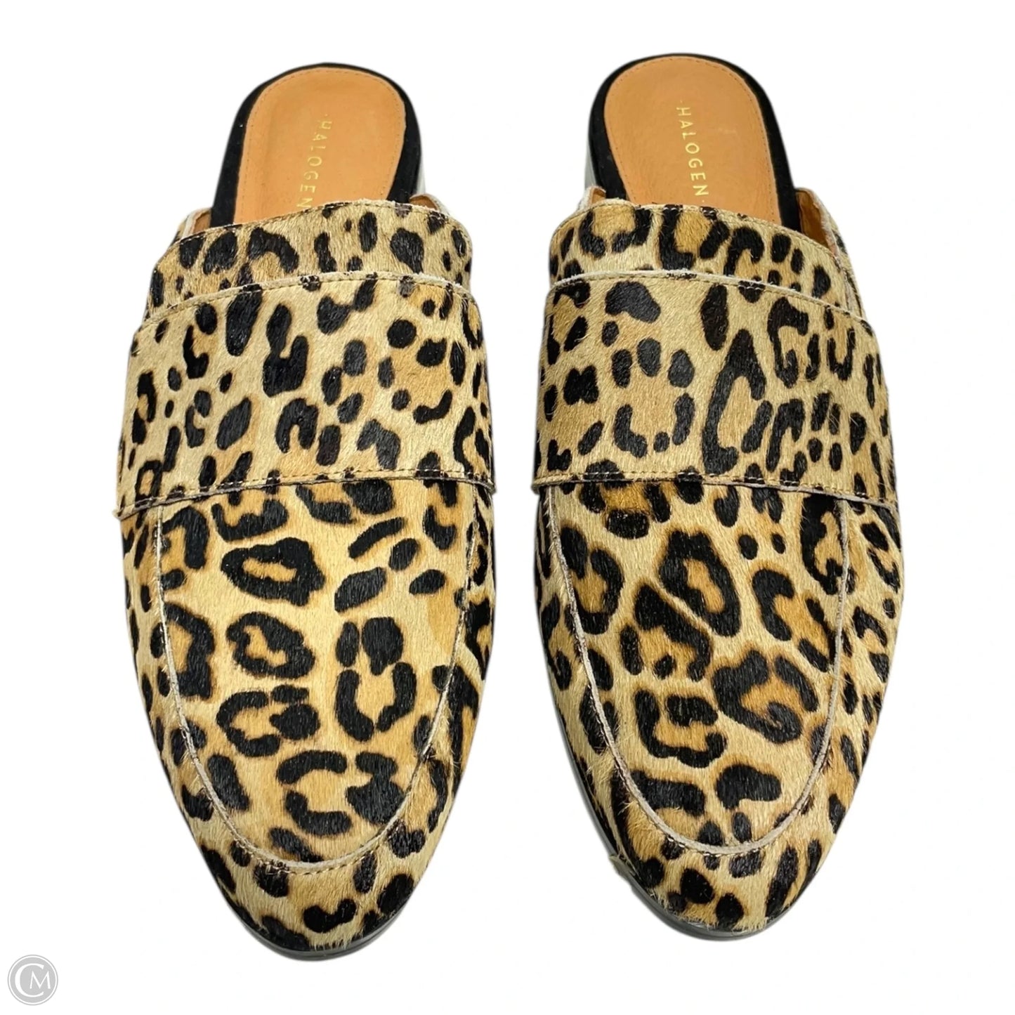 Shoes Flats By Halogen In Animal Print, Size: 7