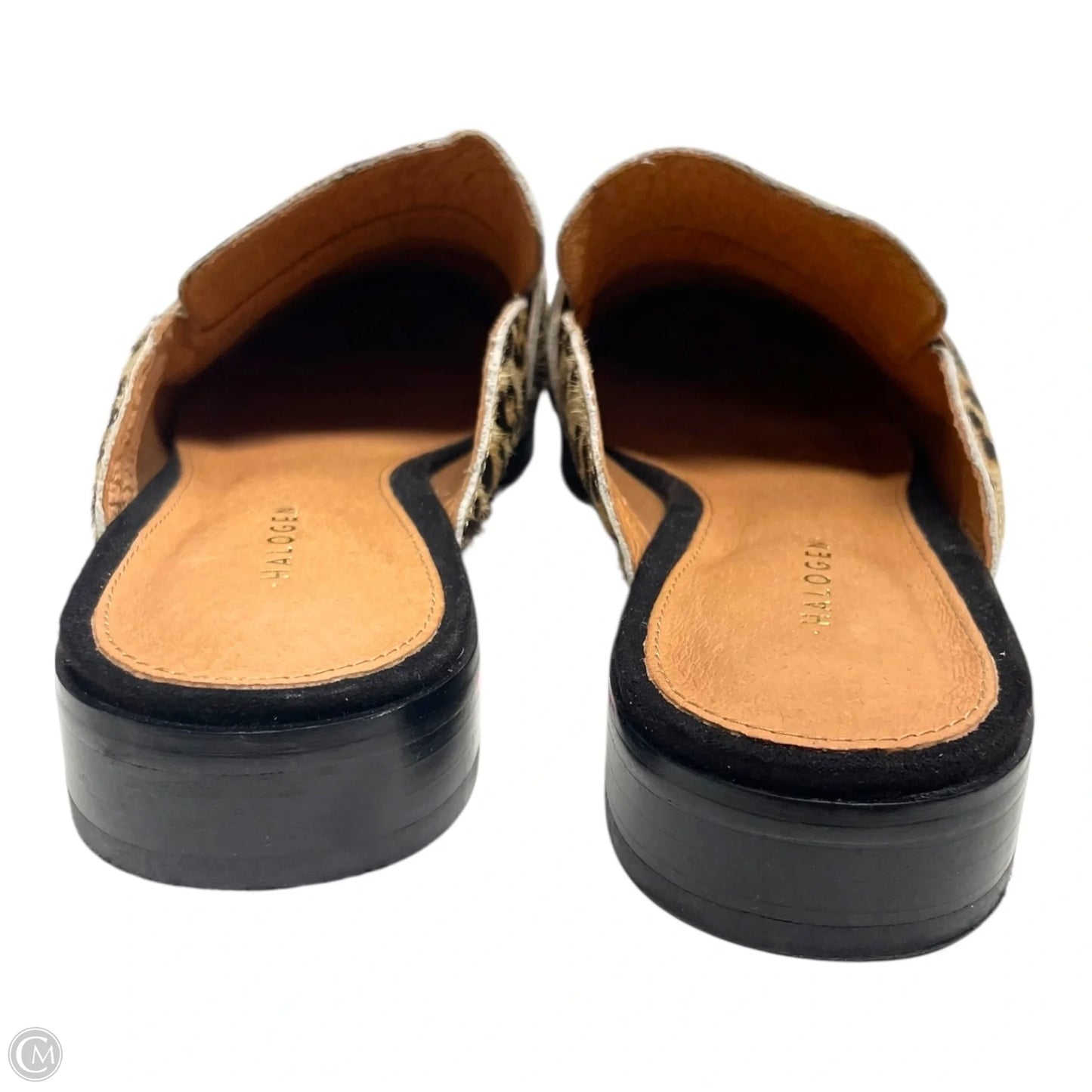 Shoes Flats By Halogen In Animal Print, Size: 7
