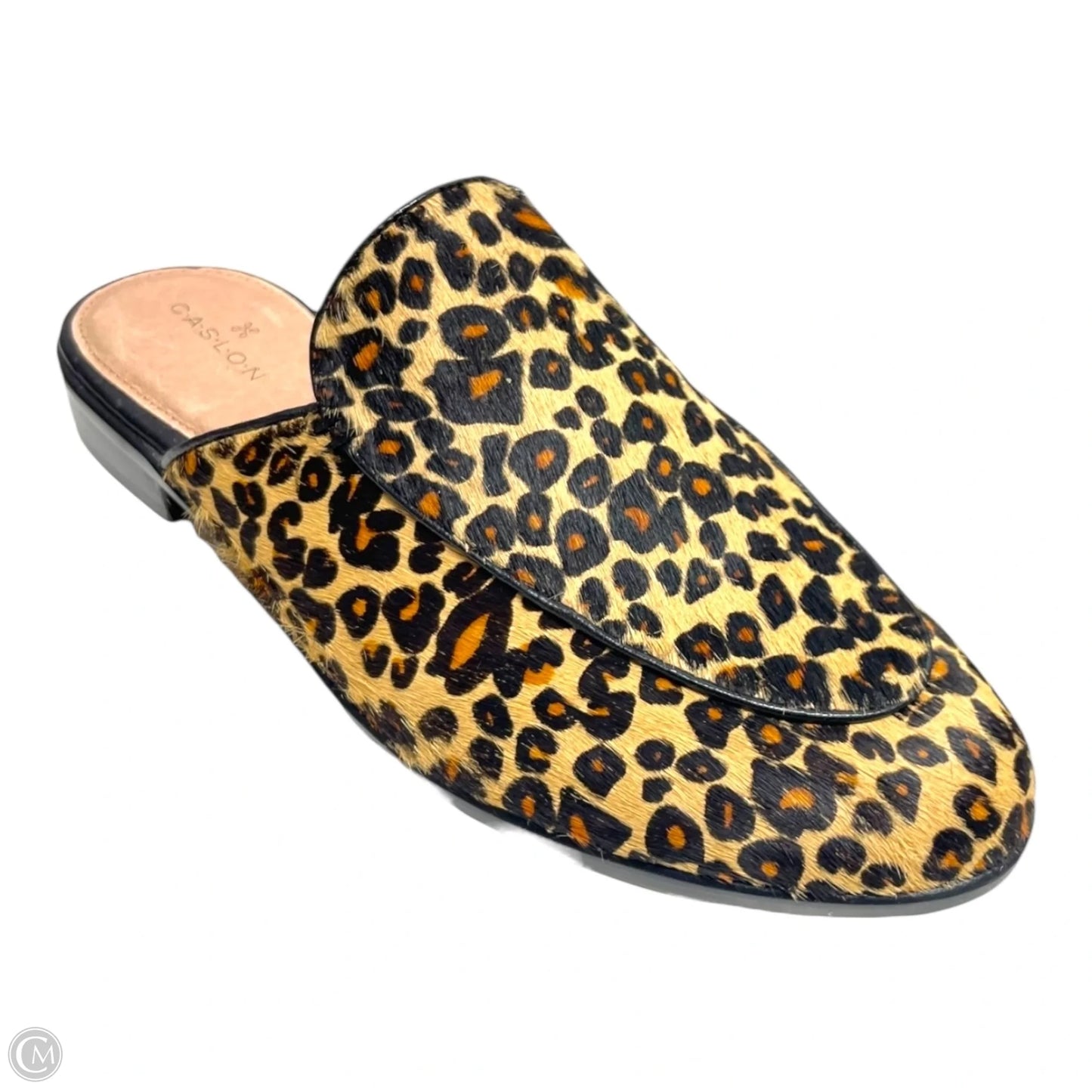Shoes Flats By Caslon In Animal Print, Size: 7