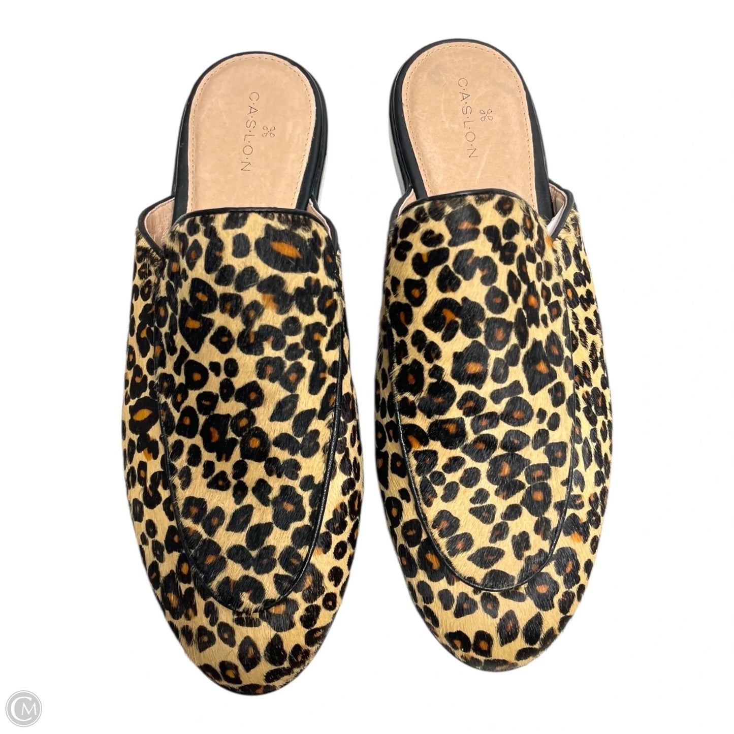 Shoes Flats By Caslon In Animal Print, Size: 7