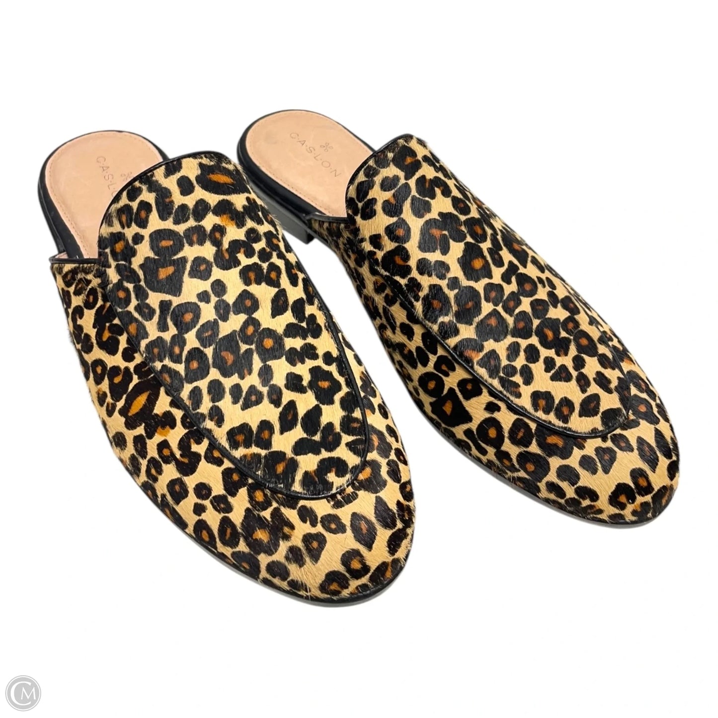 Shoes Flats By Caslon In Animal Print, Size: 7