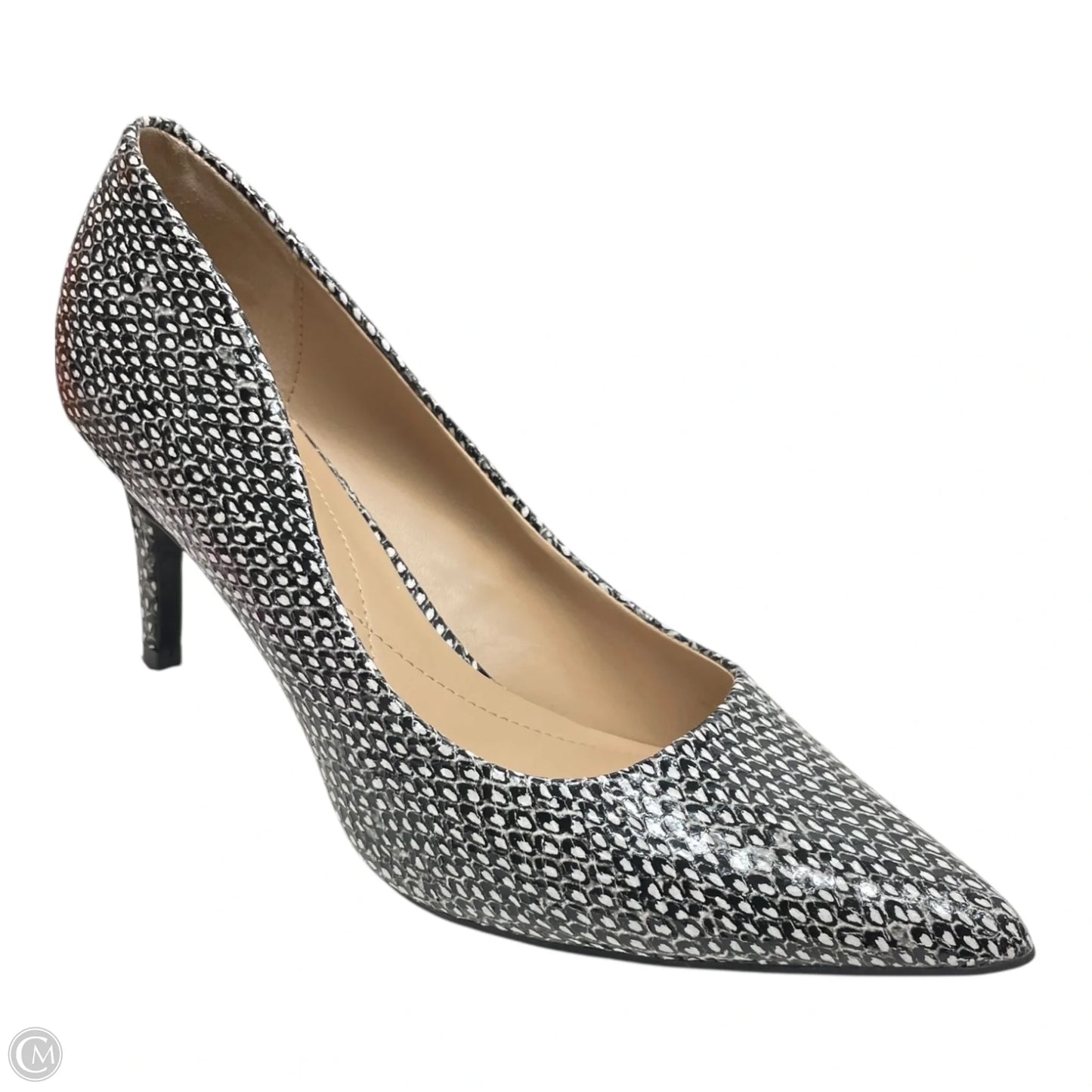 Shoes Heels Kitten By Alfani In Black & White, Size: 6.5